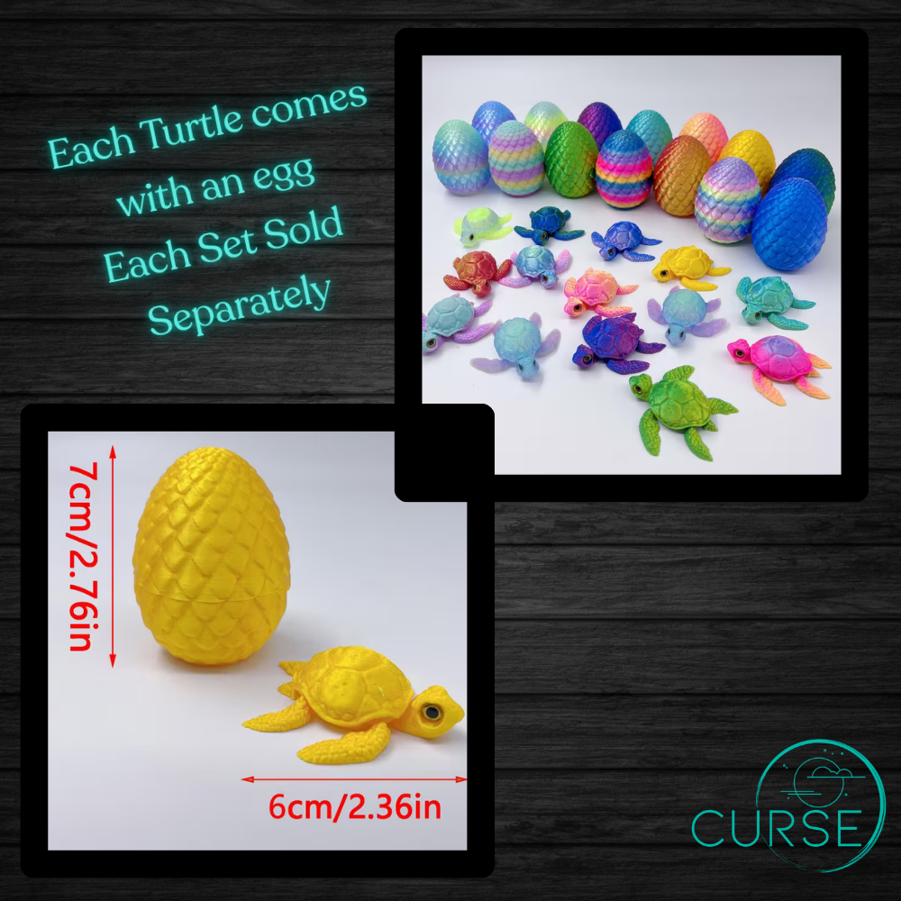 3D Turtles and Egg